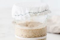 How to Feed Your Sourdough Starter and Maintain It