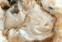 Ninja Creami Cottage Cheese Ice Cream Viral on TikTok