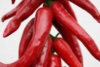 DIY Chile Ristra: Step-by-Step Drying and Hanging Guide