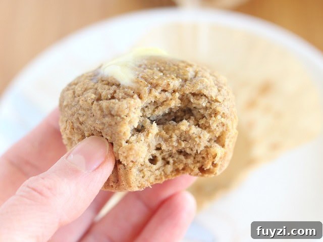 Healthy, low sugar blender muffin recipe