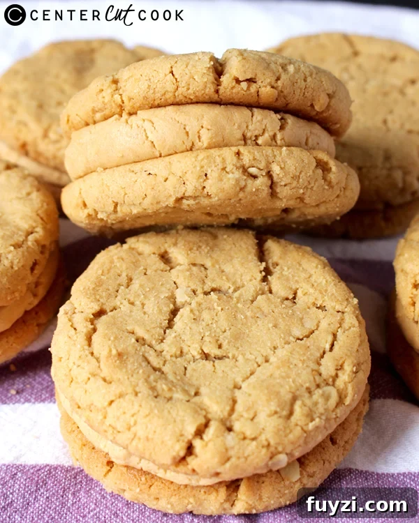 peanut-butter-sandwich-cookies-girl-scout-copycat-2.jpg peanut butter sandwich cookies girl scout copycat 2