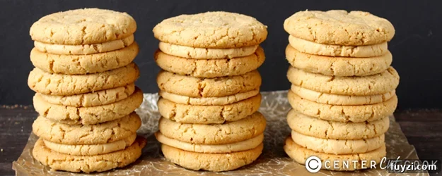 peanut-butter-sandwich-cookies-girl-scout-copycat-1.jpg peanut butter sandwich cookies girl scout copycat 1