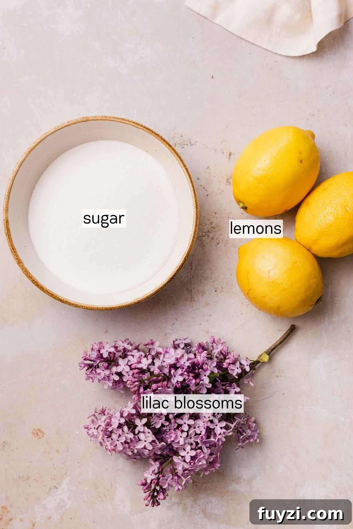 Lilac Lemonade Recipe: How to Make a Floral Citrus Drink 4 ingredients for lilac lemonade in bowls