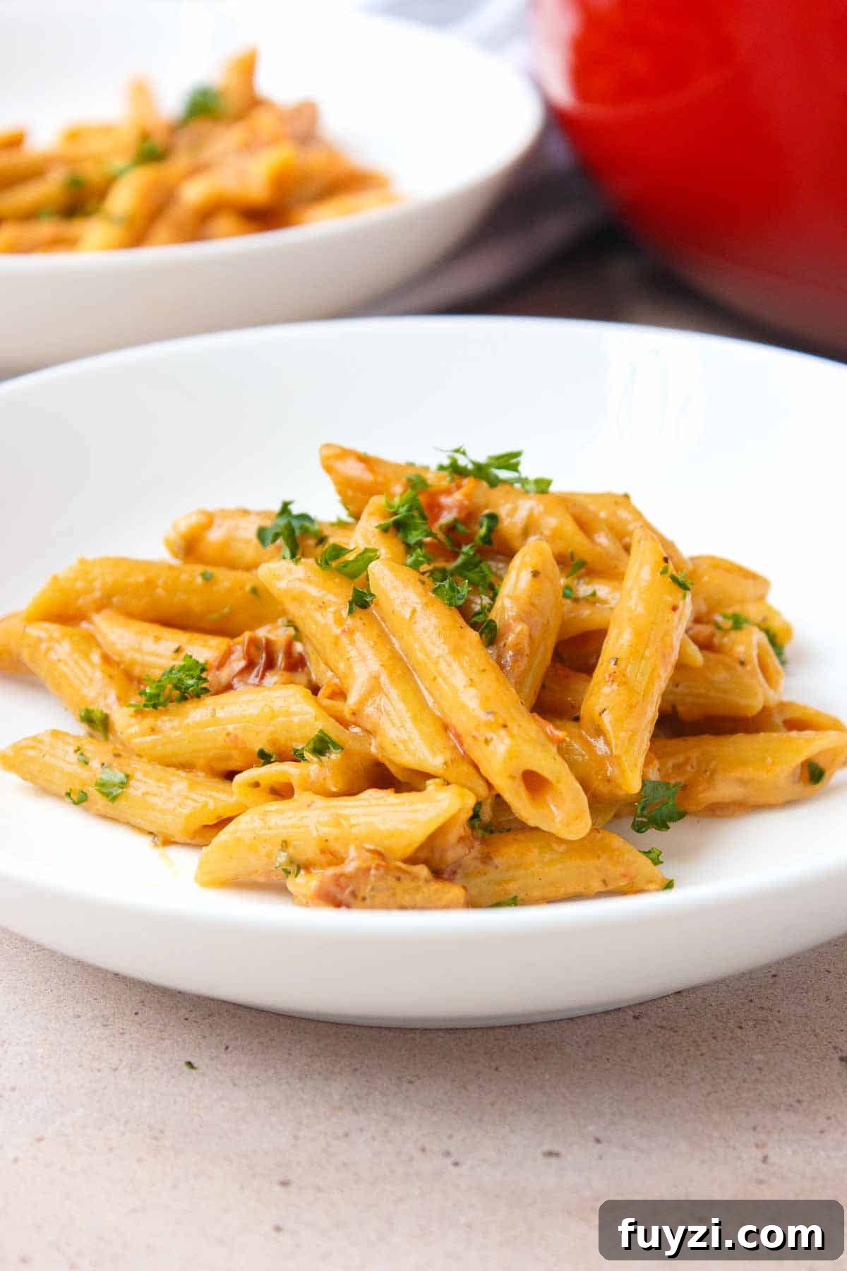 One Pot Sun-Dried Tomato Pasta