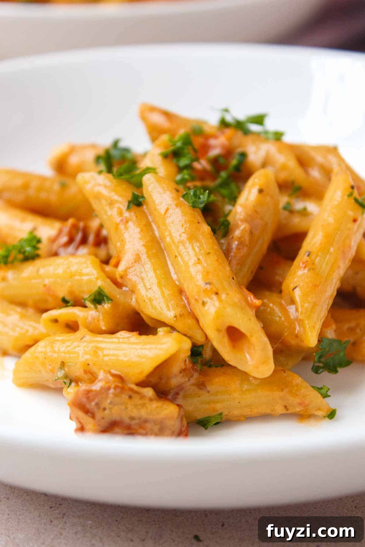 One Pot Sun-Dried Tomato Pasta