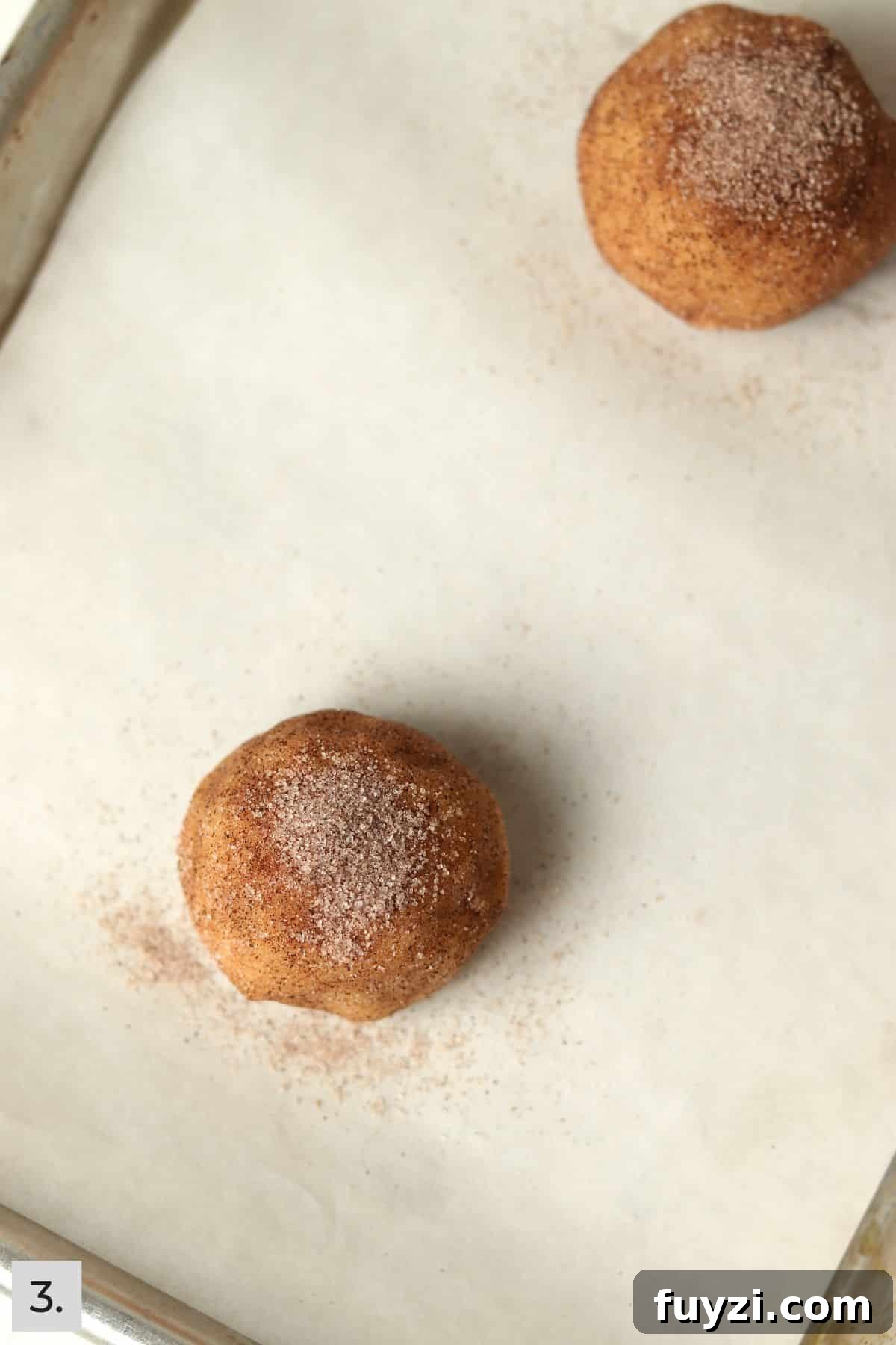 Two unbaked snickerdoodle cookie dough balls rolled in cinnamon sugar.