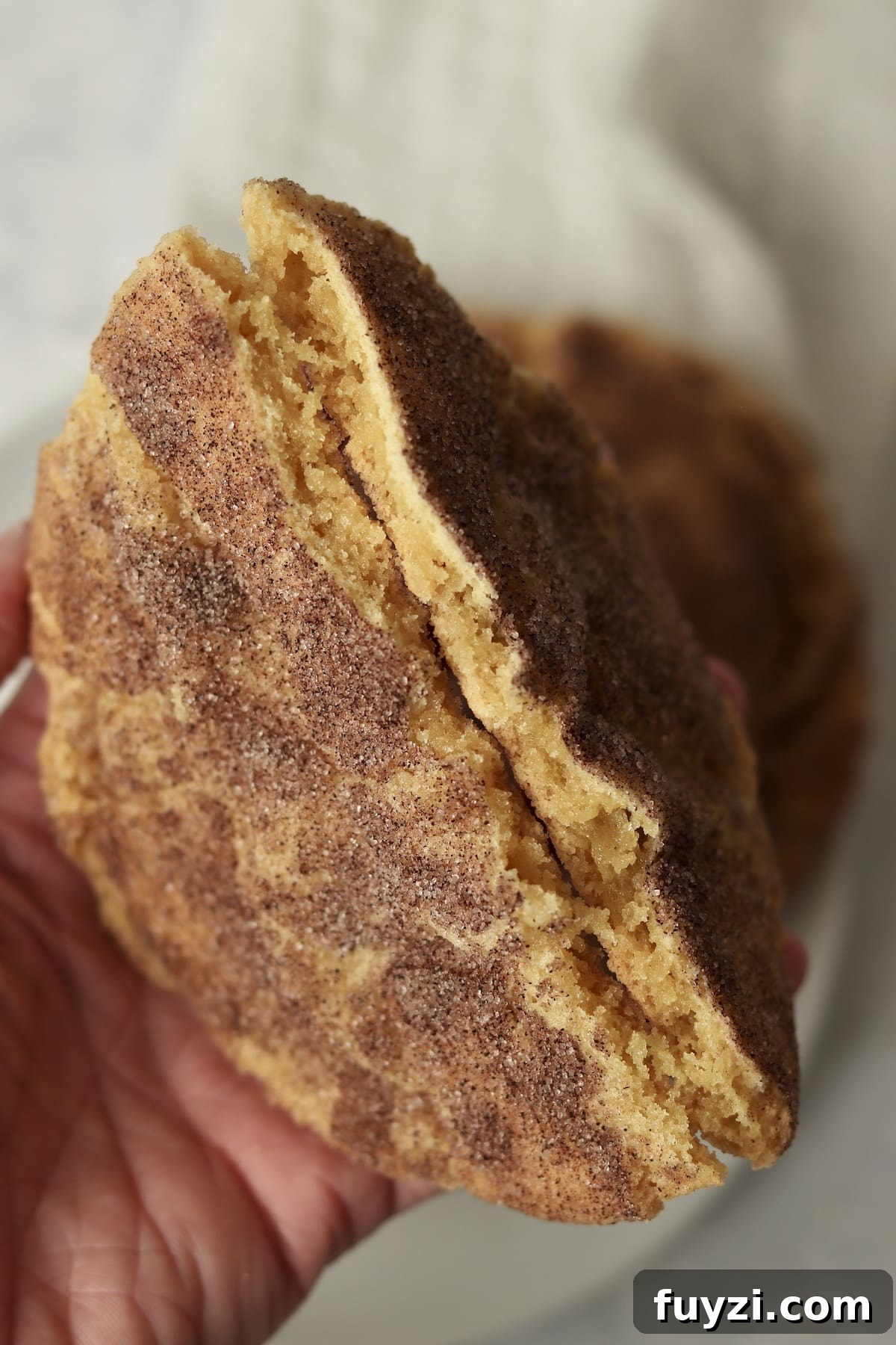 Large snickerdoodle cookie broken in half to show chewy center.