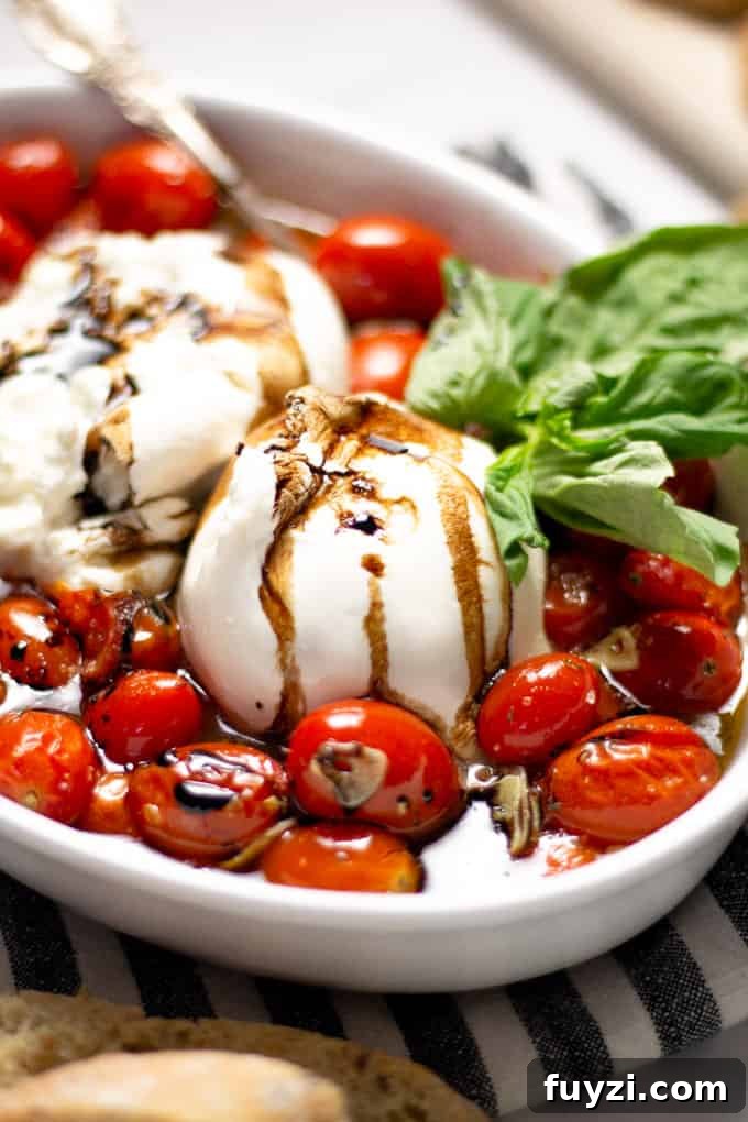Close up shot of a white platter filled with roasted tomatoes and burrata garnished with fresh basil 