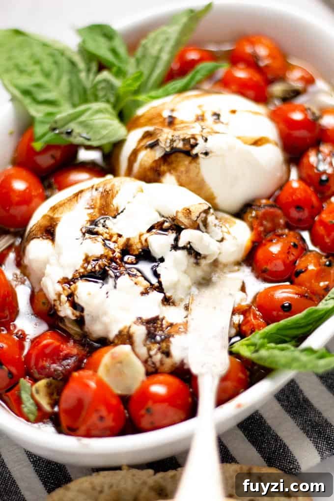 Close up shot of a white platter filled with roasted tomatoes and burrata garnished with fresh basil 