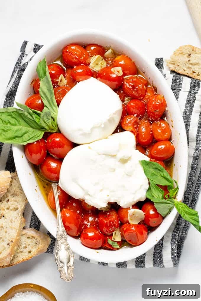 Overhead shot of a white platter filled with roasted tomatoes and burrata garnished with fresh basil 