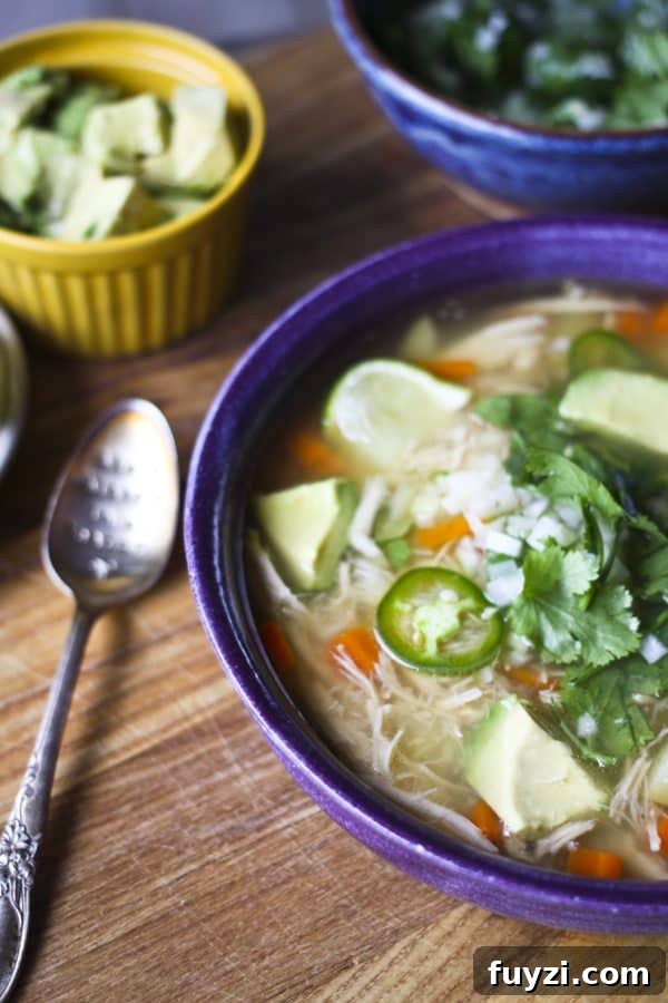 Mexican Chicken Soup (Caldo de Pollo) Recipe 2 Mexican-Chicken-Soup-Rebecca-Lindamood