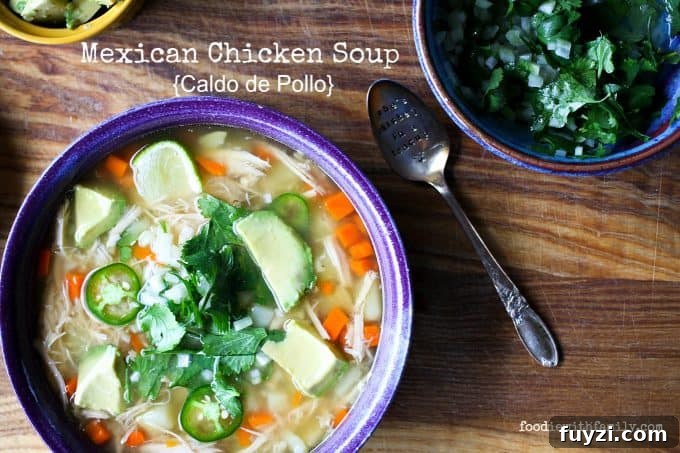 Mexican Chicken Soup (Caldo de Pollo) Recipe 3 Mexican Chicken Soup {Caldo de Pollo} from foodiewithfamily.com