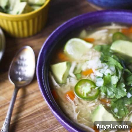 Mexican Chicken Soup {Caldo de Pollo} from foodiewithfamily.com
