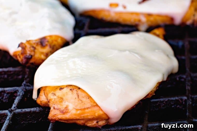 Teriayki Chicken breast with cheese slice