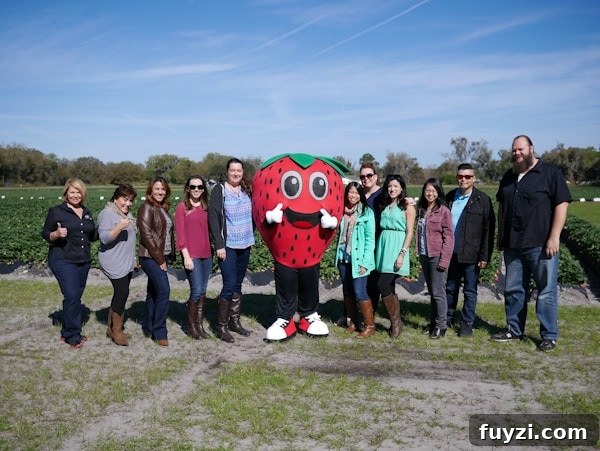 Strawberry Farm Tour