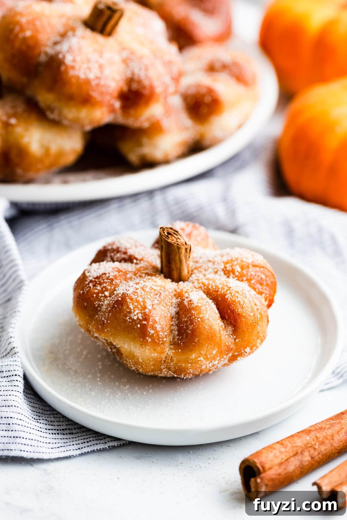 side close up at a single pumpkin spice doughnut shaped like pumpkin