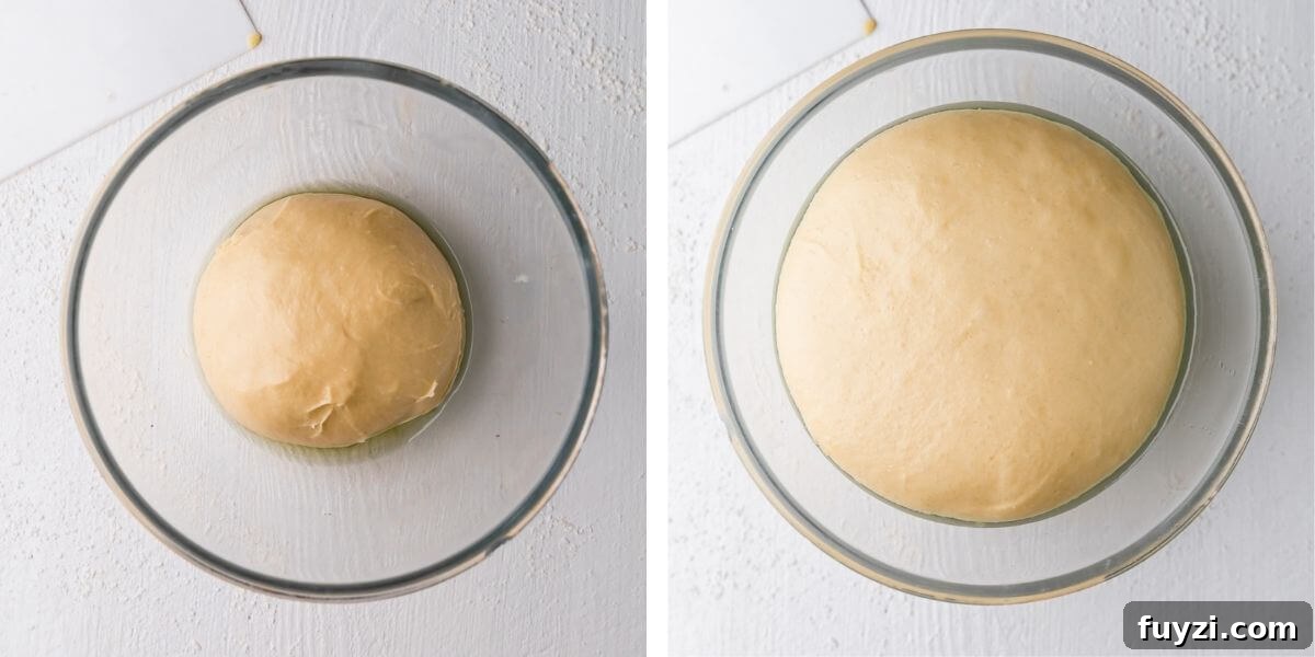 overhead photos showing a bowl with dough before and after proving