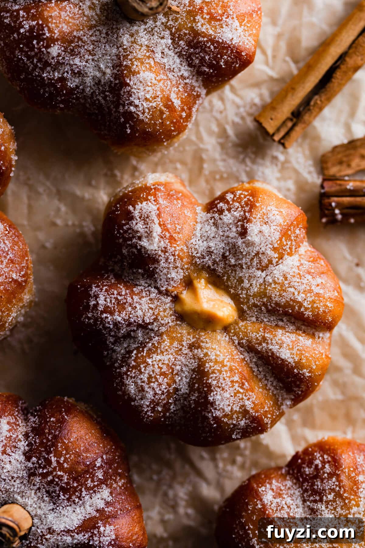 top view close up at pumpkin spice doughnut covered in sugar