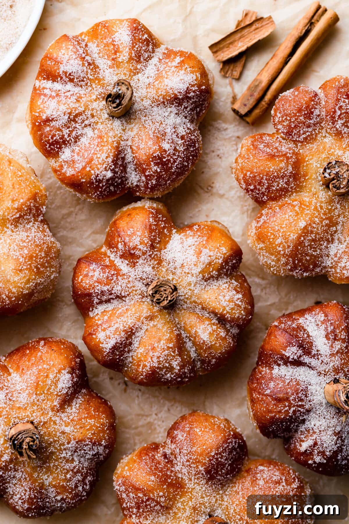 overhead shot of pumpkin spice doughnuts with sugar coating