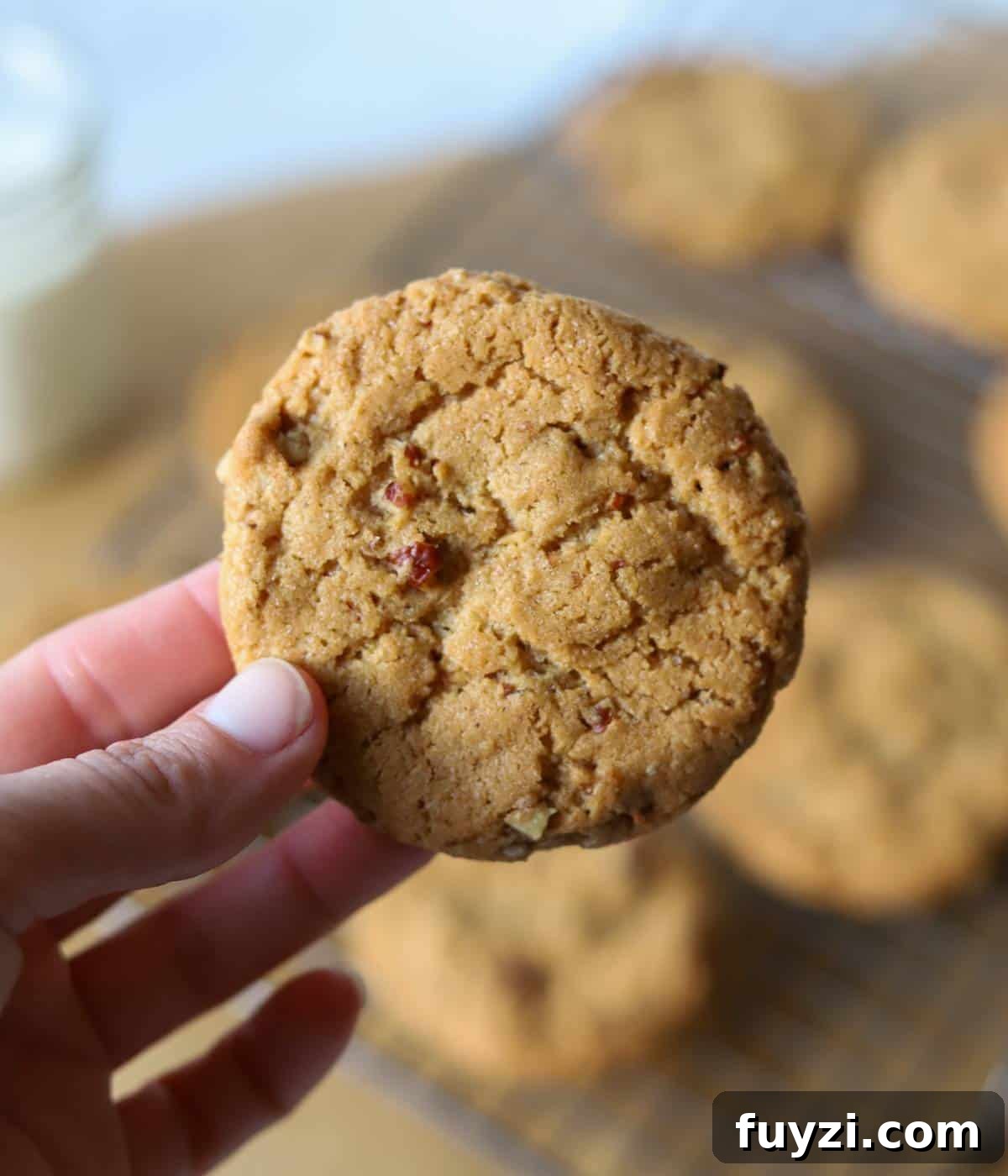Hand holding pecan cookie.