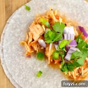 Jicama Tortilla Chicken Tacos
