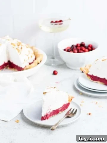 Close up of a slice of cranberry pie showing the bright red curd filling and the toasted meringue topping.