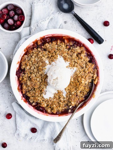 Cranberry apple crisp with a scoop of melting ice cream on a light blue striped towel. Plates, a bowl of frozen cranberries, and ice cream scoop and a white bowl are nearby.