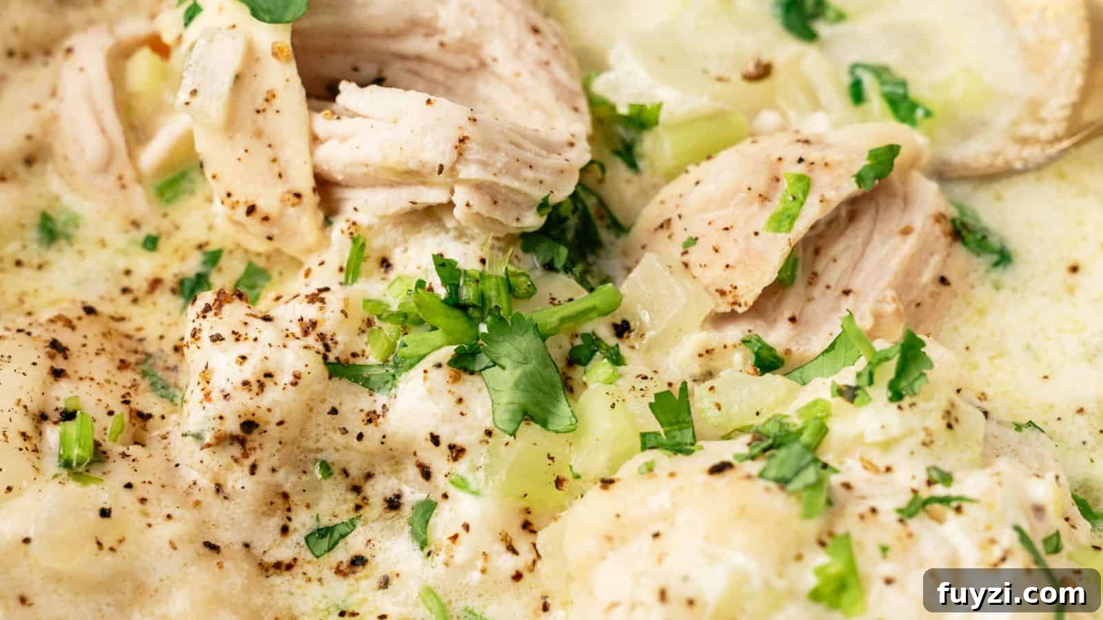 Close-up of creamy chicken and dumplings garnished with chopped parsley and black pepper.