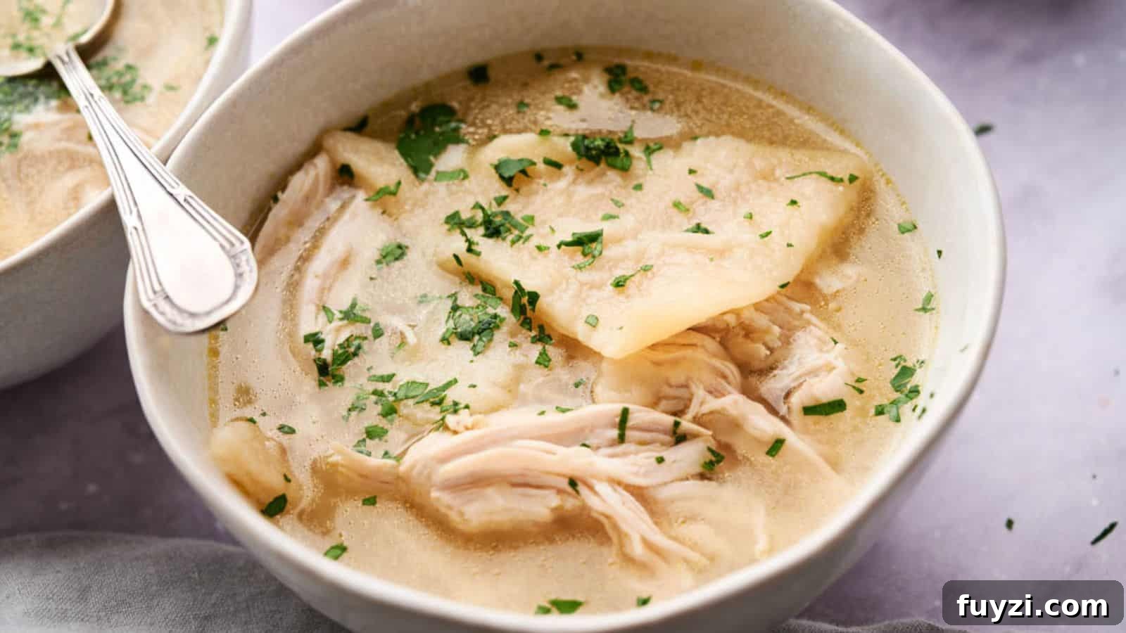 A bowl of Cracker Barrel Chicken and Dumplings garnished with chopped parsley.