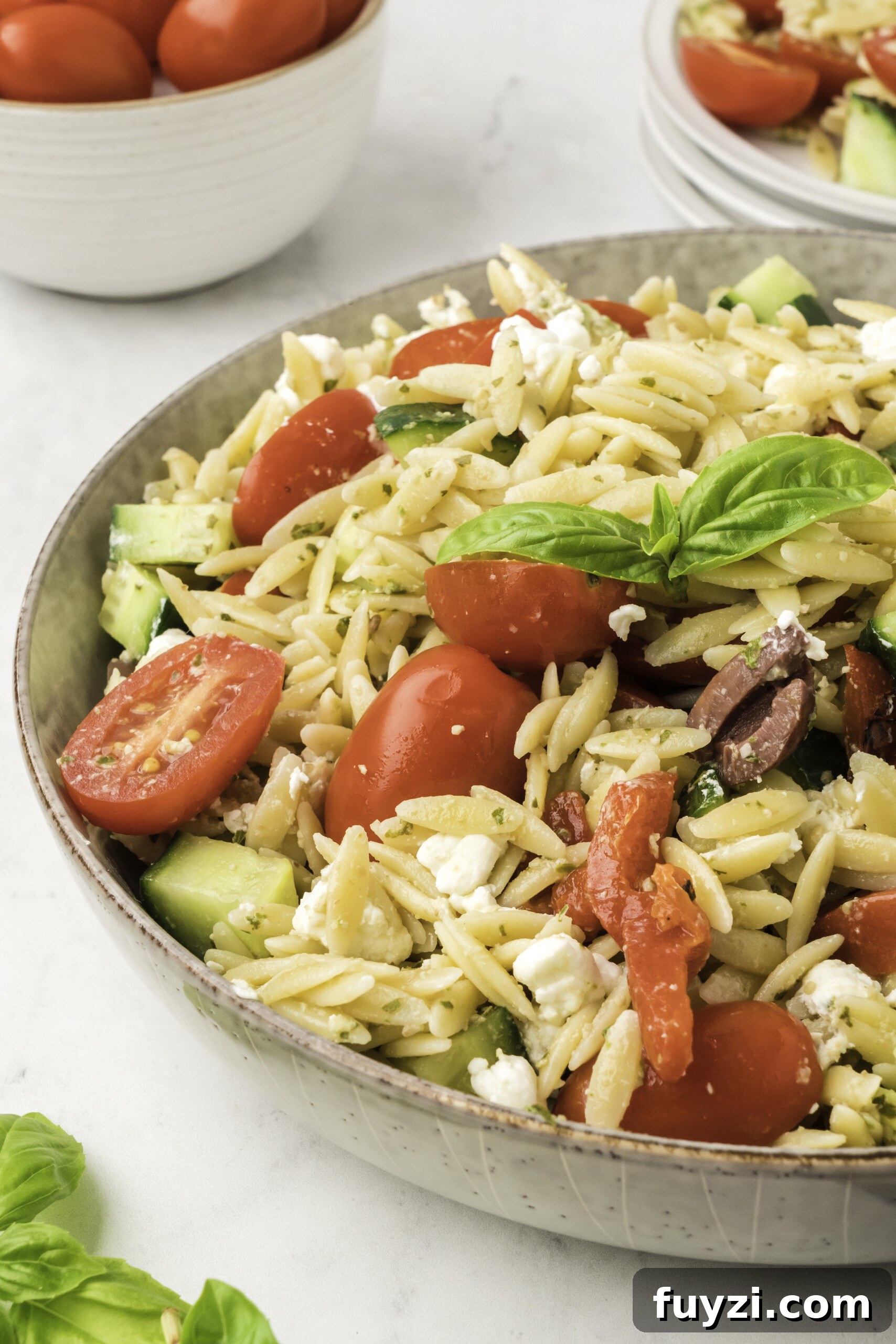 Creamy Pesto Orzo Pasta Salad with Cherry Tomatoes 8 A close up of a bowl of pesto orzo pasta.