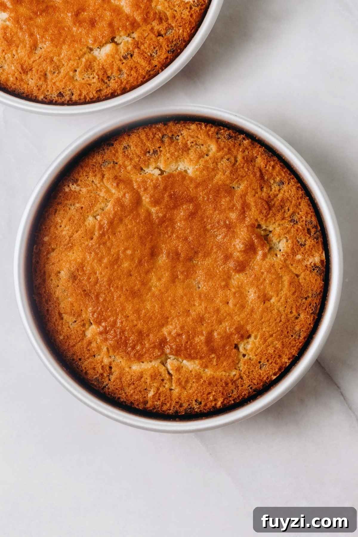 Baked chocolate chip cake in pans on a white marbled background.
