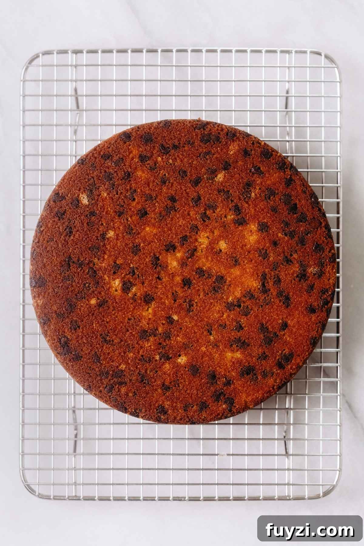 Chocolate chip cake layer cooling on a wire cooling rack.
