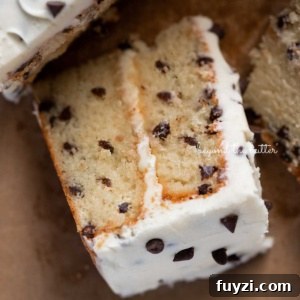 Slice of 2 layer chocolate chip cake on its side