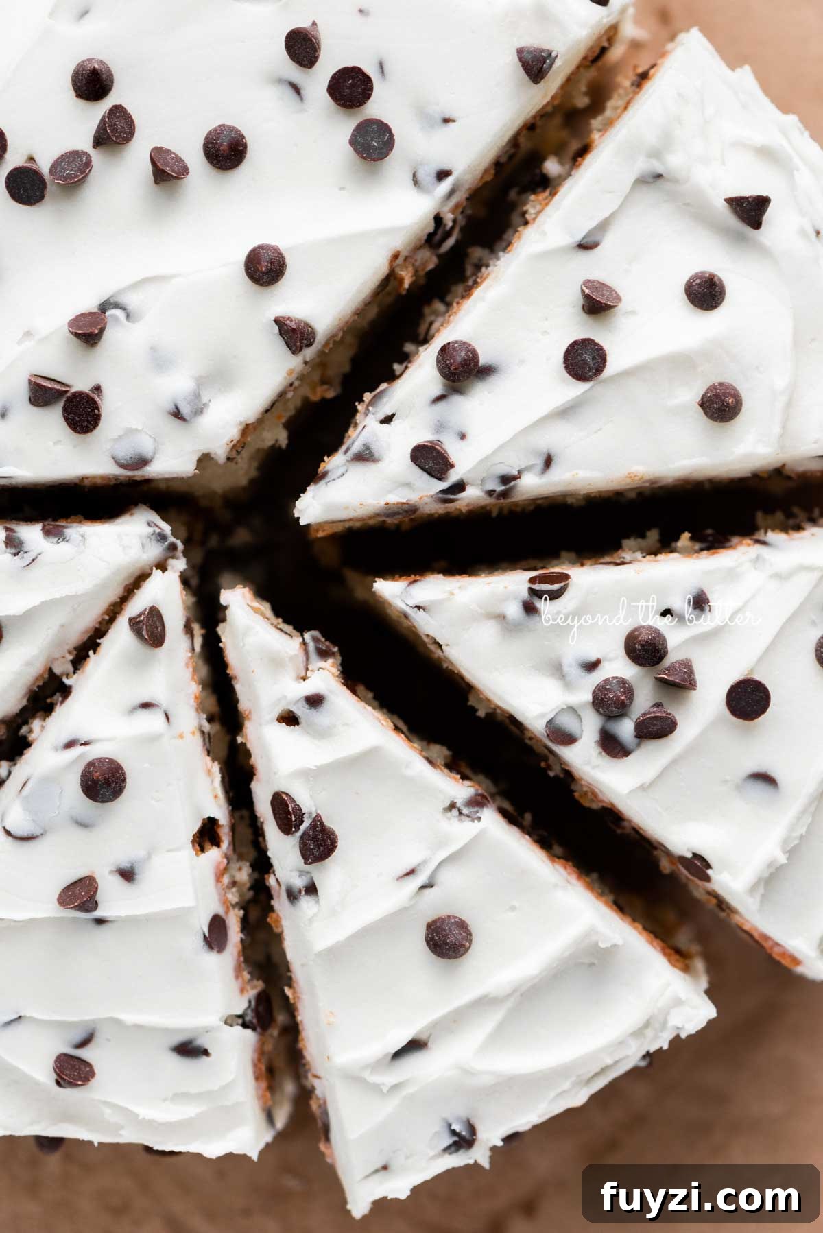 Slices 2 layer chocolate chip cake on a brown paper background | © Beyond the Butter®