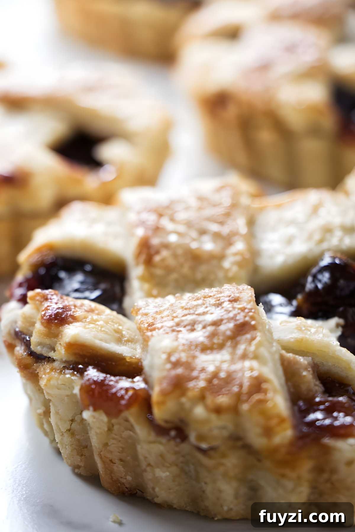 Mini dried cherry tarts with golden lattice crust and berry filling, close-up view.