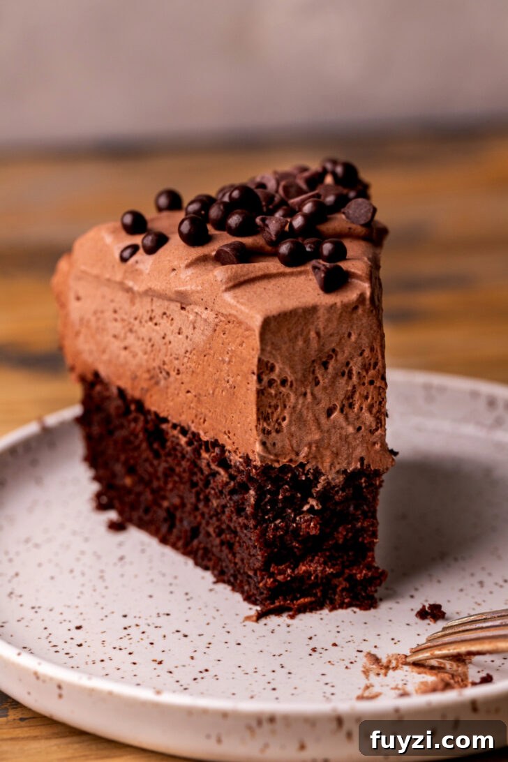 Bite missing chocolate mousse cake.