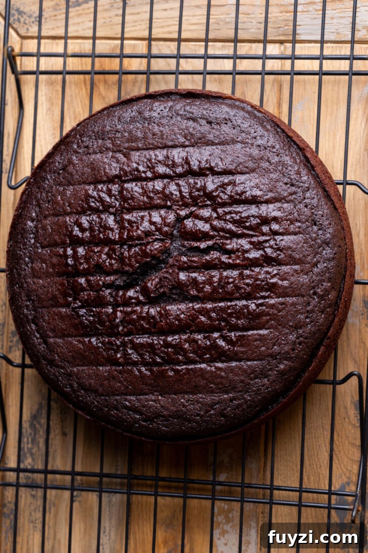 Chocolate cake on a wire rack.