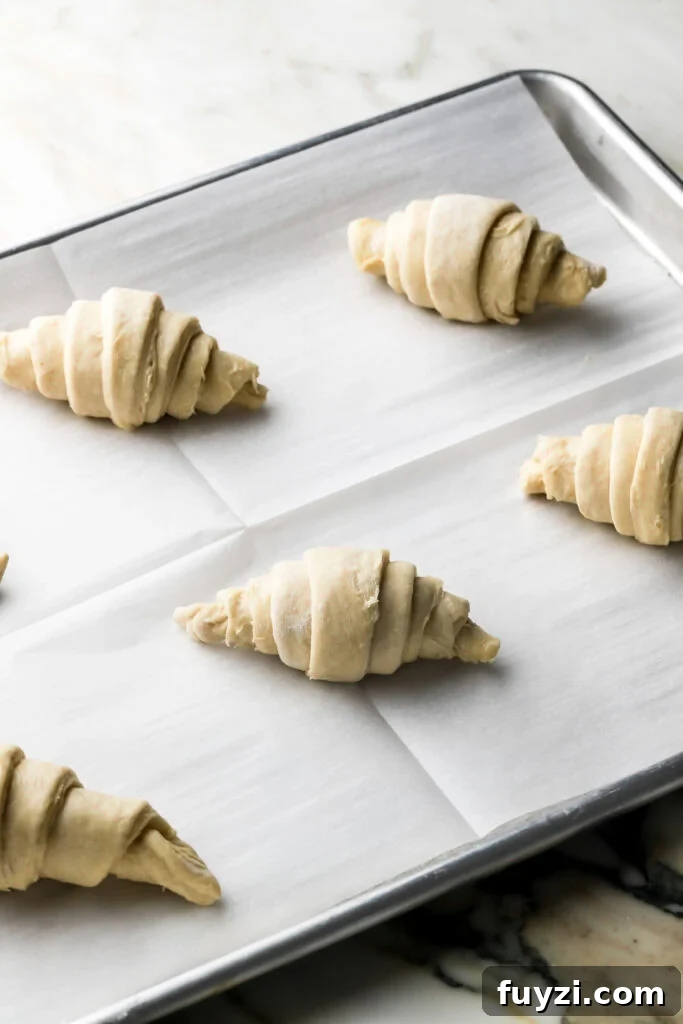 How to Make Flaky Homemade Croissants: French Recipe 12 croissants ready for proofing