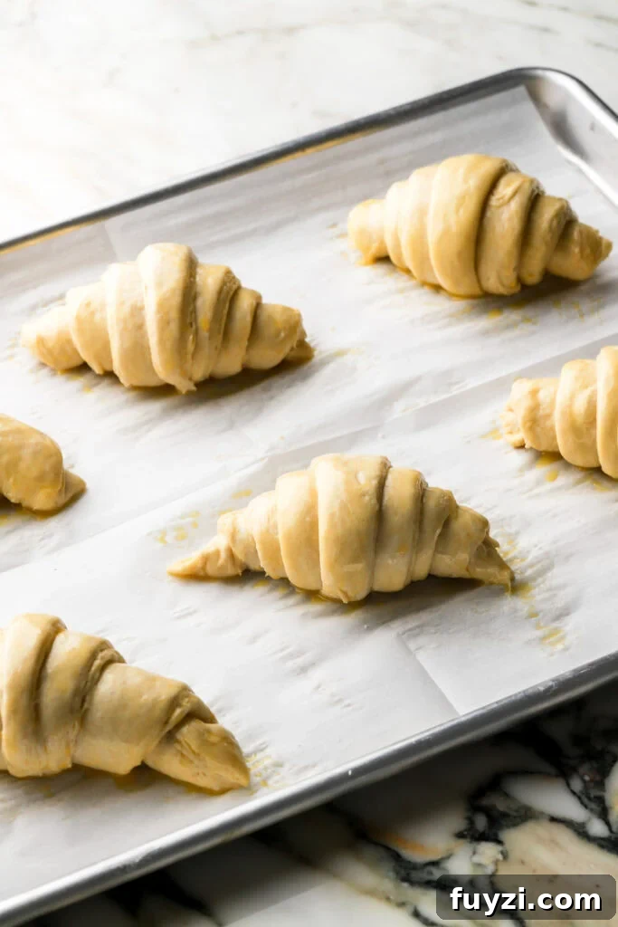 How to Make Flaky Homemade Croissants: French Recipe 13 croissants finished proofing and egg washed