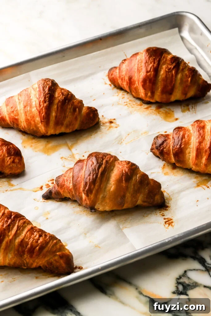 How to Make Flaky Homemade Croissants: French Recipe 14 croissants finished baking