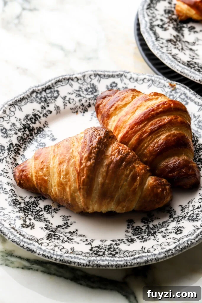 How to Make Flaky Homemade Croissants: French Recipe 15 two croissants on a plate