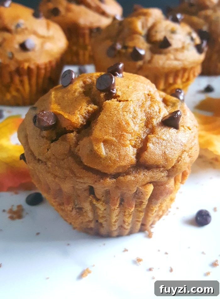 Cake Mix Chocolate Chip Pumpkin Muffins - Easy pumpkin muffin recipe made with cake mix and chocolate chips. This one-bowl recipe makes for a delicious and homemade fall breakfast or snack!