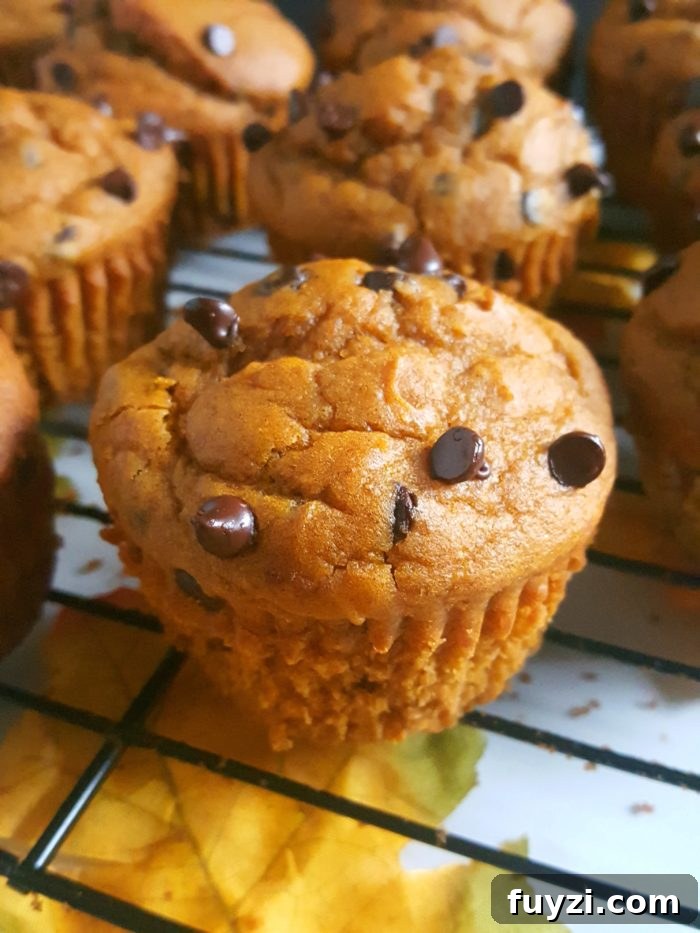 Cake Mix Chocolate Chip Pumpkin Muffins - Easy pumpkin muffin recipe made with cake mix and chocolate chips. This one-bowl recipe makes for a delicious and homemade fall breakfast or snack!