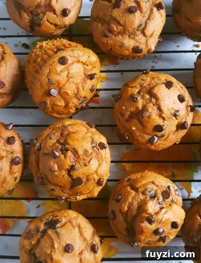 Cake Mix Chocolate Chip Pumpkin Muffins - Easy pumpkin muffin recipe made with cake mix and chocolate chips. This one-bowl recipe makes for a delicious and homemade fall breakfast or snack!