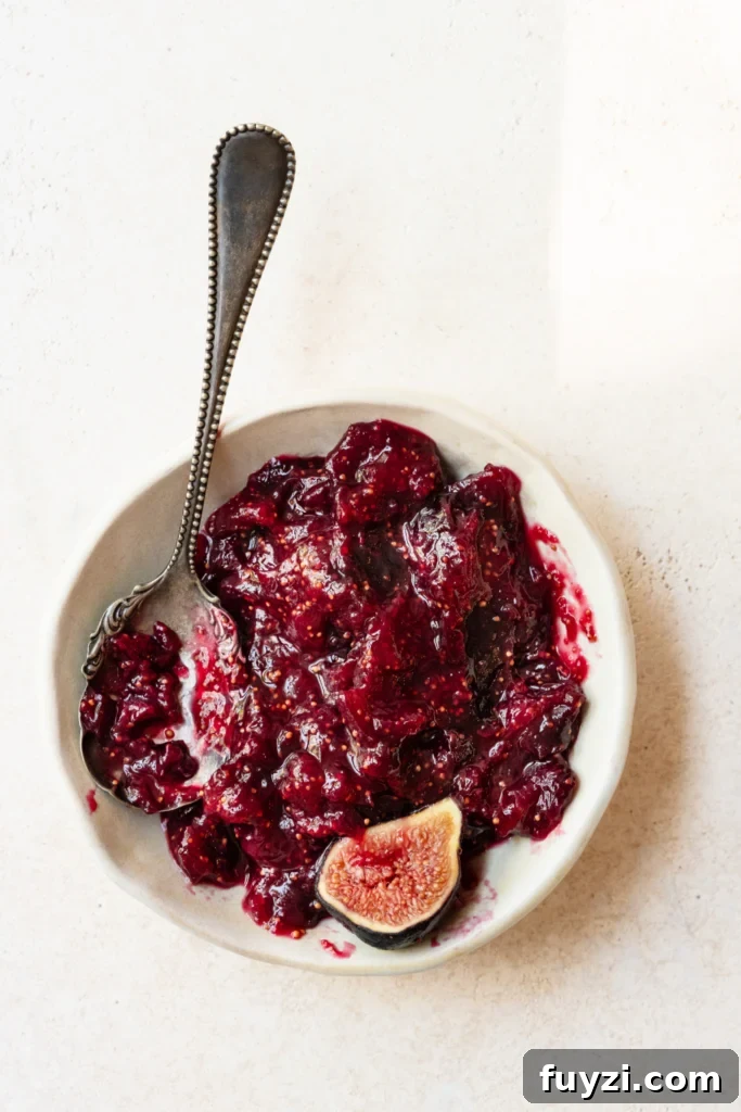Homemade Fig Jam: Small-Batch Recipe 2 Chunky fig jam in a bowl with a spoon and sliced fig.