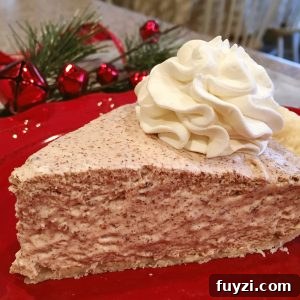 Slice of Chocolate Chiffon Pie on red dessert plate.