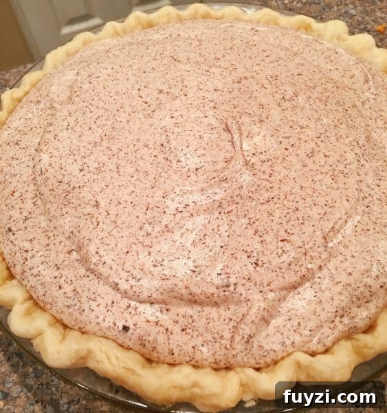 Chocolate Chiffon Pie in Pie Crust