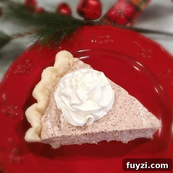 Chocolate Chiffon Pie on Red Plate