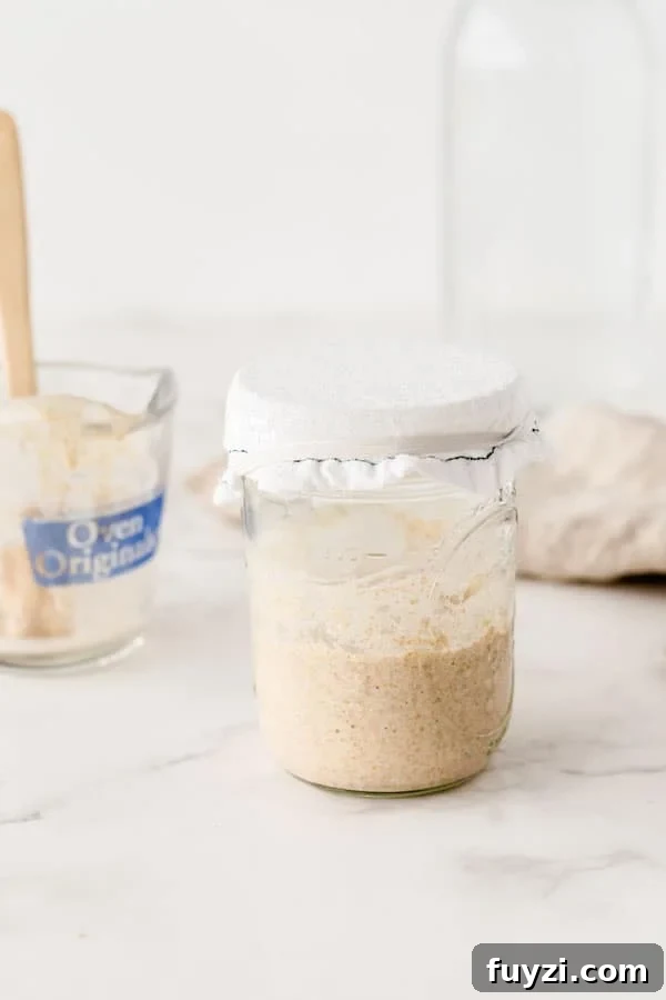 How to Feed Your Sourdough Starter and Maintain It 6 Learn how to make a sourdough starter with gluten free flour with 2 ingredients and minimal equipment.