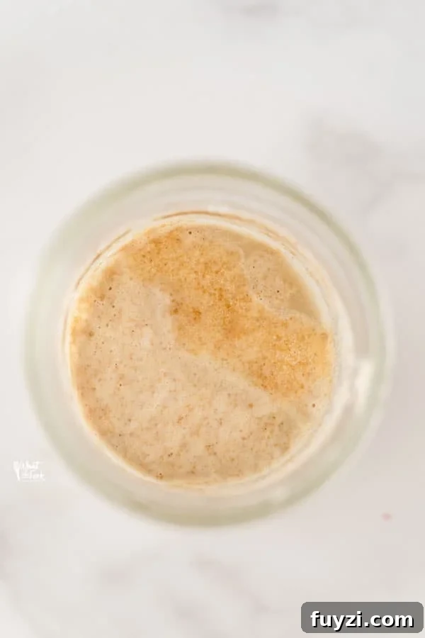 How to Feed Your Sourdough Starter and Maintain It 7 hooch on top of a gluten free sourdough starter